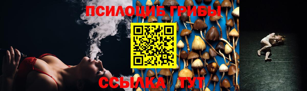 Галлюциногенные грибы GOLDEN TEACHER  Вход с VPN  Дубна 